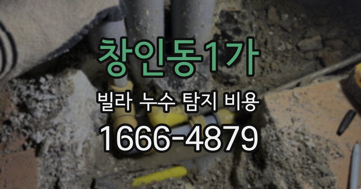 창인동1가 빌라 누수 탐지 비용
