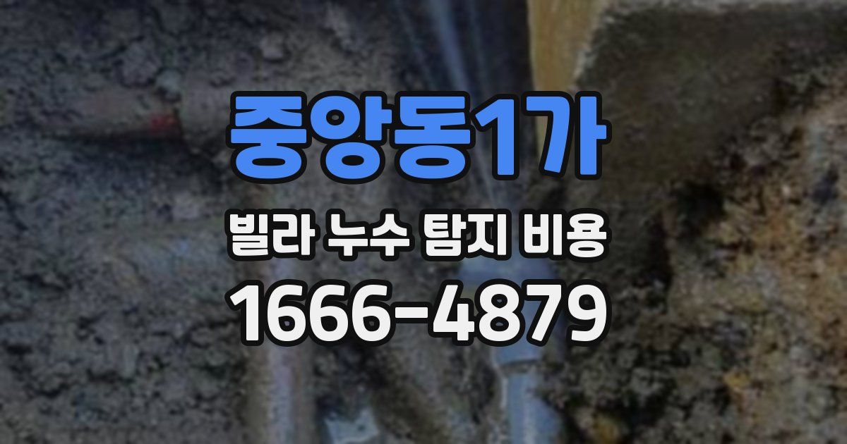 중앙동1가 빌라 누수 탐지 비용