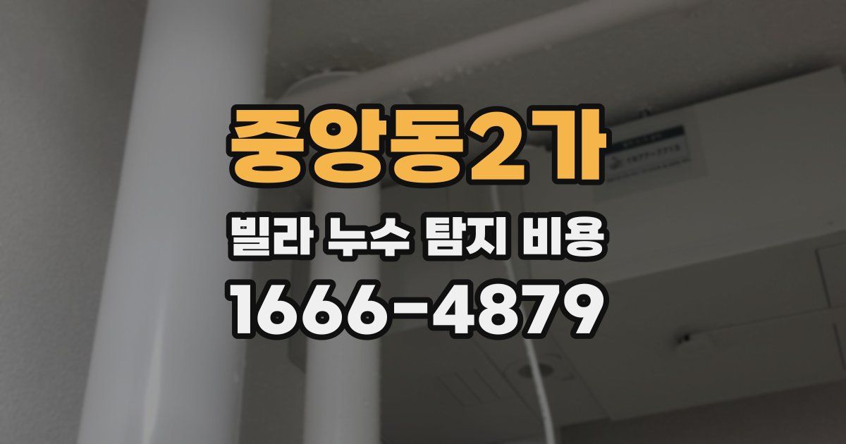 중앙동2가 빌라 누수 탐지 비용