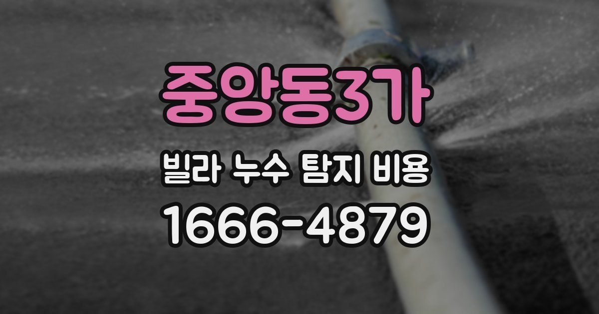 중앙동3가 빌라 누수 탐지 비용