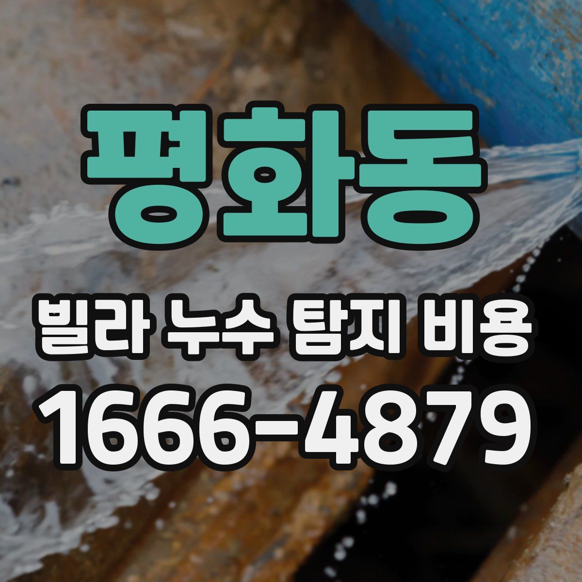 평화동 빌라 누수 탐지 비용