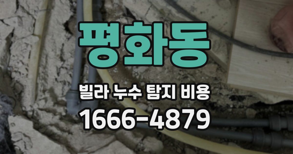 평화동 빌라 누수 탐지 비용