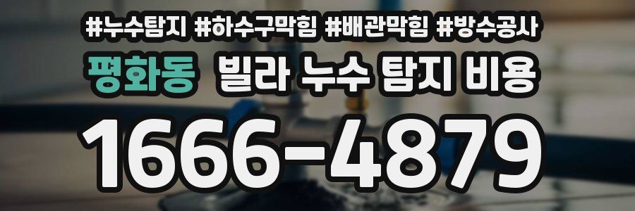 평화동 빌라 누수 탐지 비용