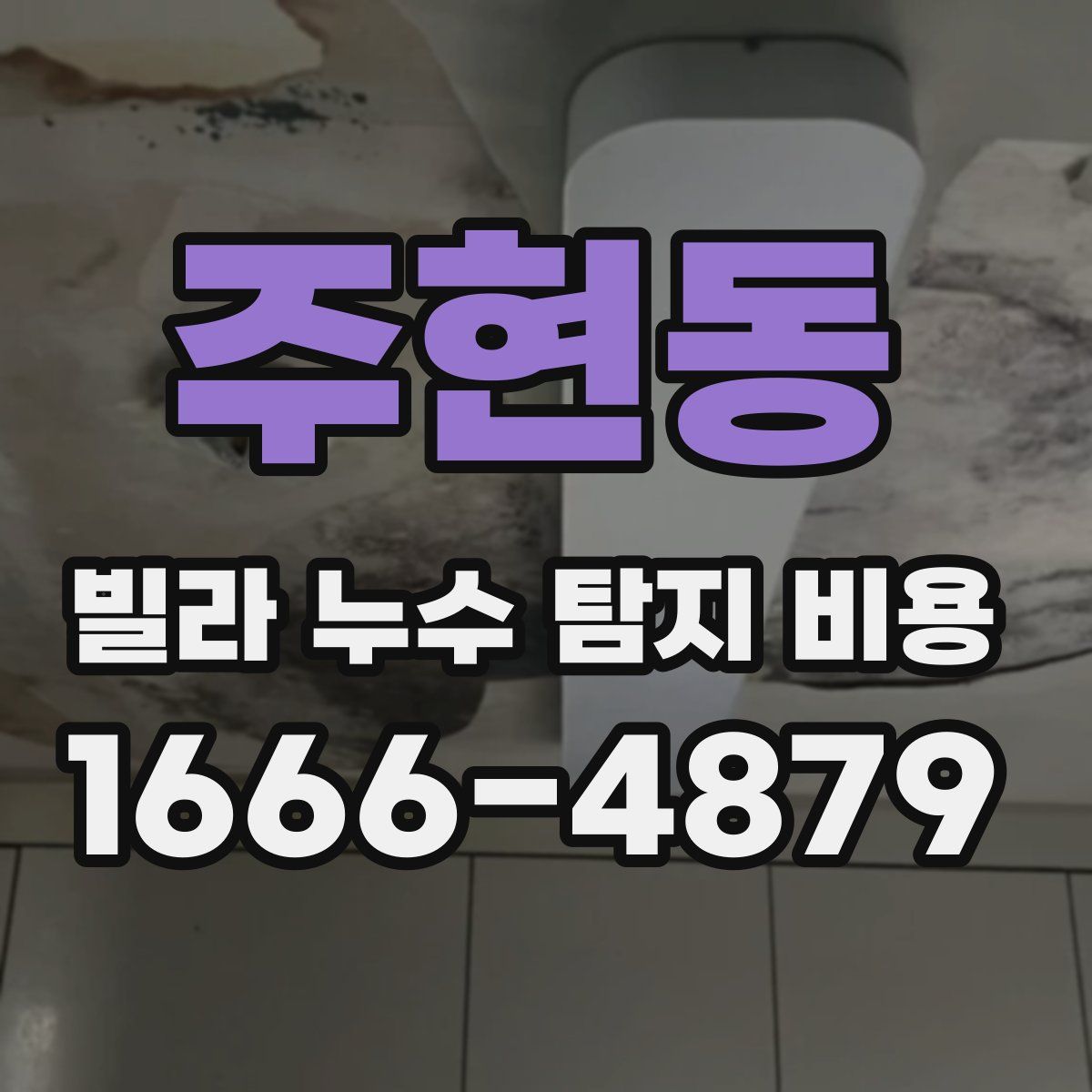 주현동 빌라 누수 탐지 비용
