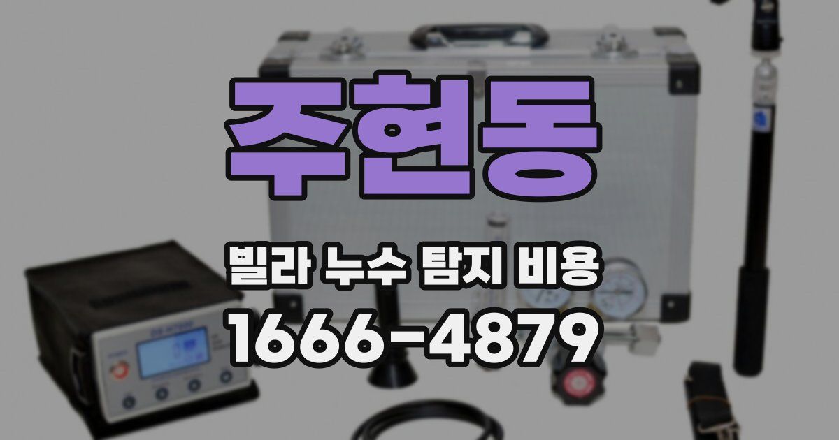 주현동 빌라 누수 탐지 비용