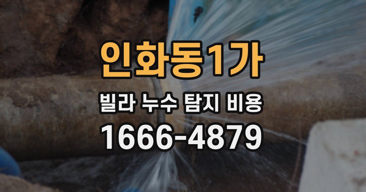인화동1가 빌라 누수 탐지 비용