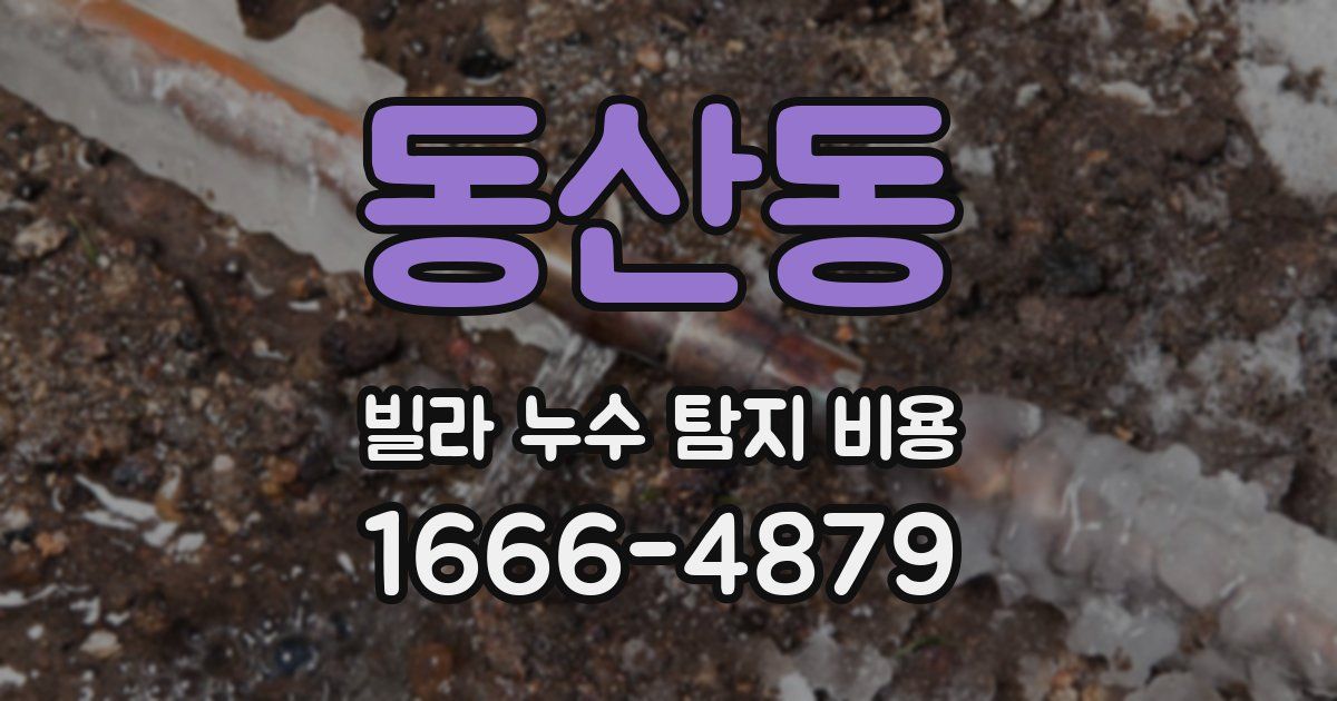 동산동 빌라 누수 탐지 비용