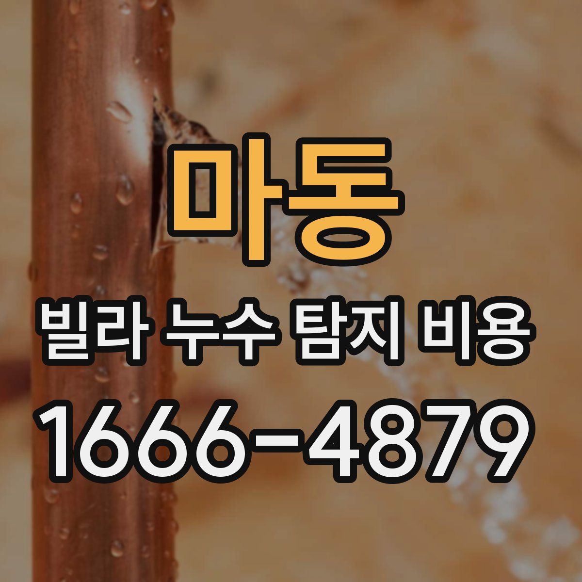 마동 빌라 누수 탐지 비용