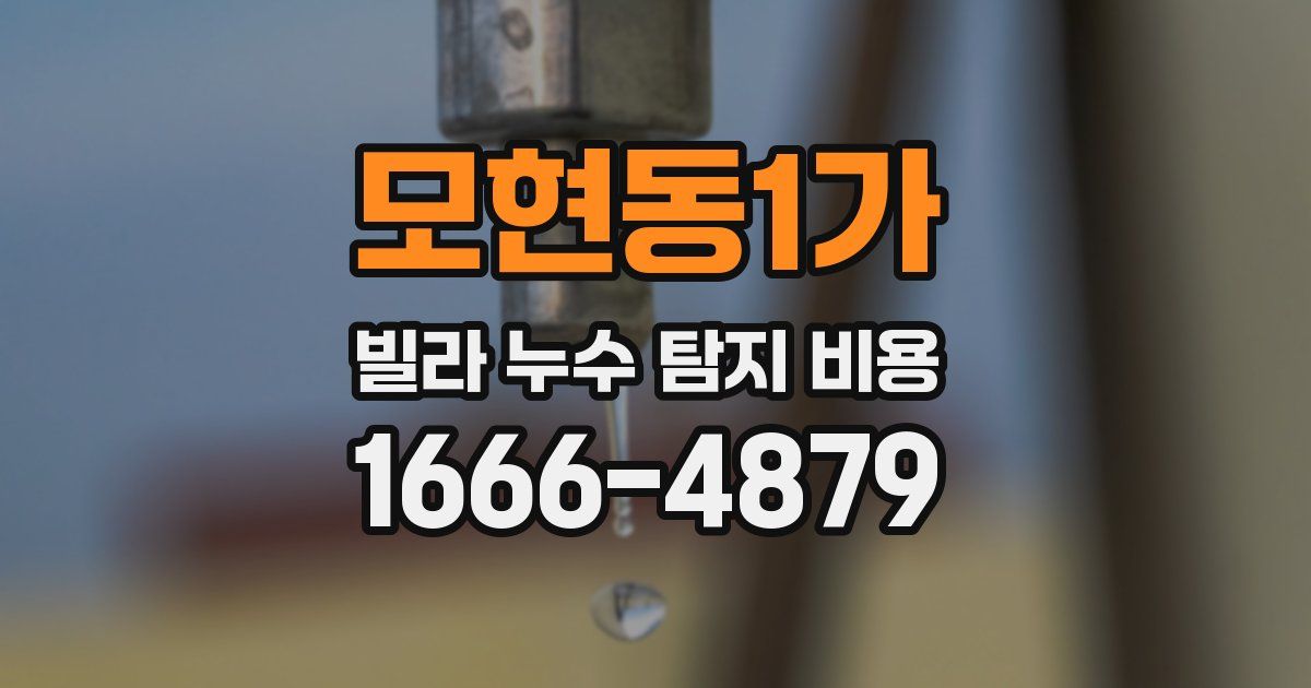 모현동1가 빌라 누수 탐지 비용