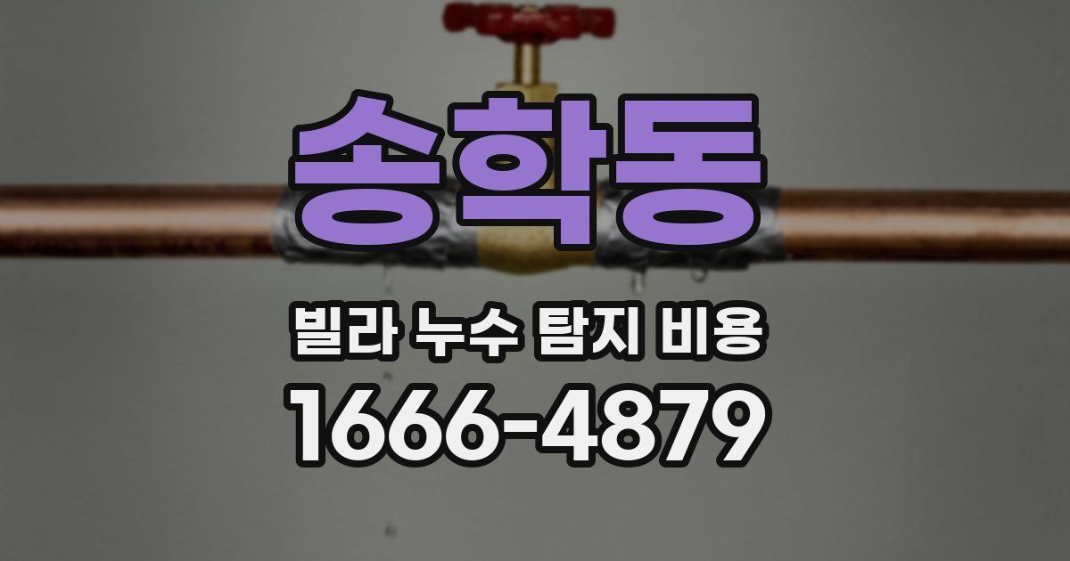송학동 빌라 누수 탐지 비용