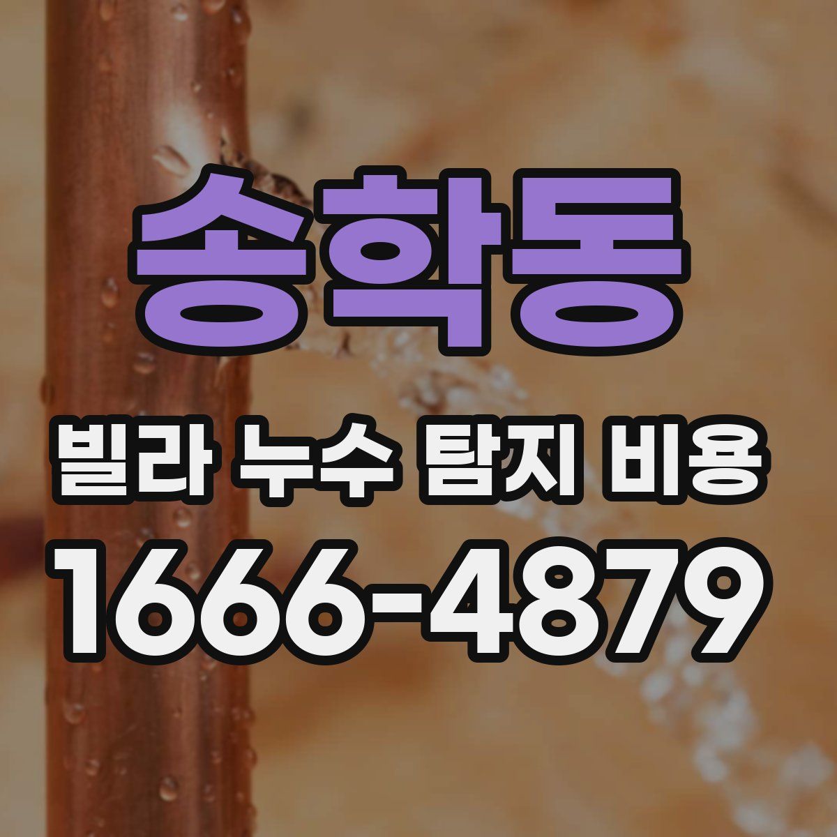 송학동 빌라 누수 탐지 비용
