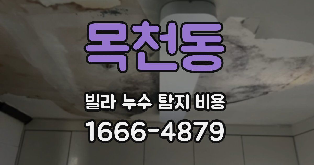 목천동 빌라 누수 탐지 비용