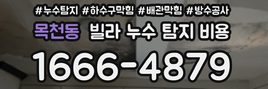 목천동 빌라 누수 탐지 비용