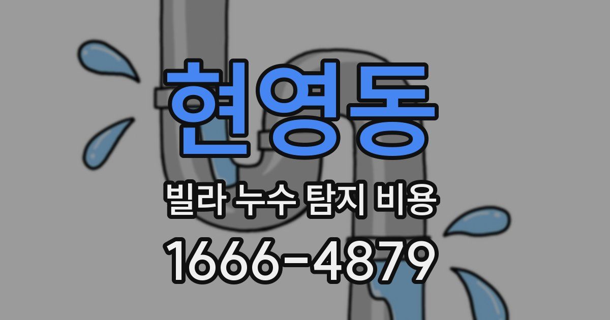 현영동 빌라 누수 탐지 비용