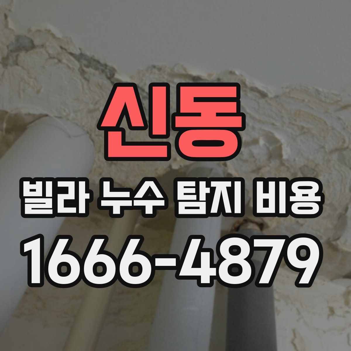 신동 빌라 누수 탐지 비용
