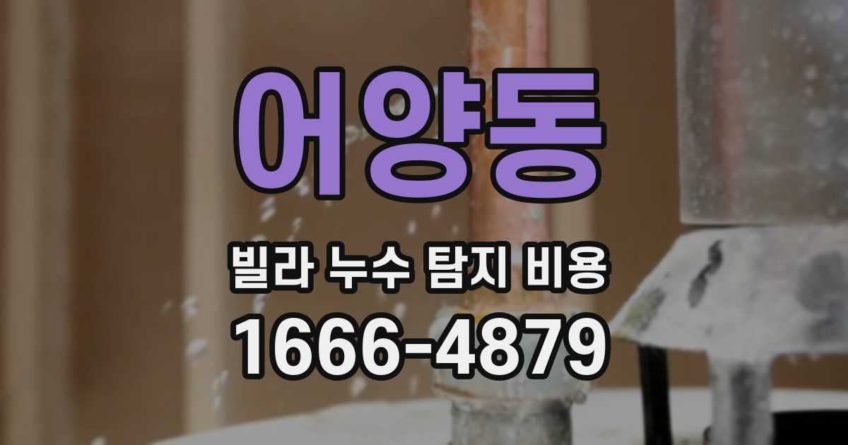 어양동 빌라 누수 탐지 비용