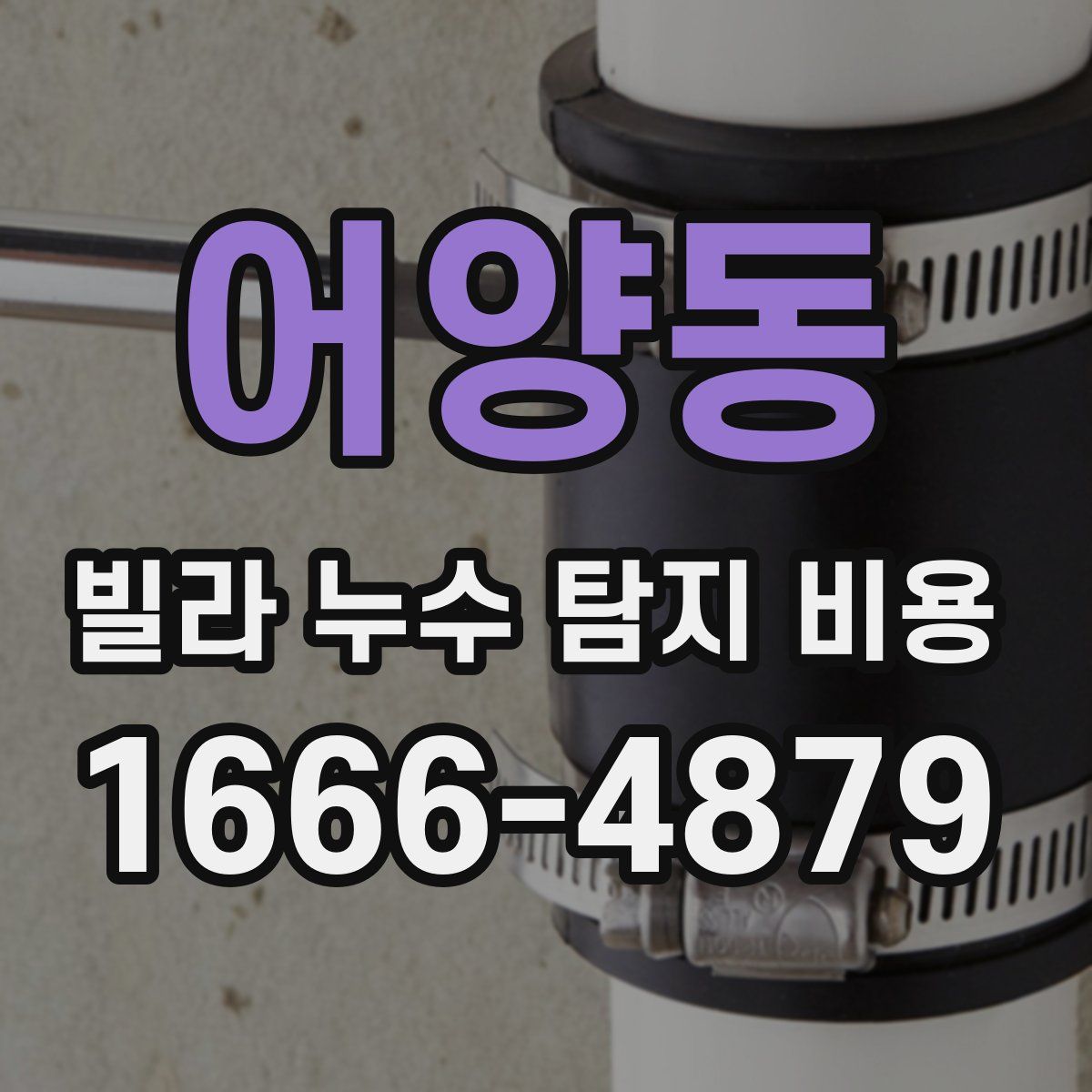 어양동 빌라 누수 탐지 비용