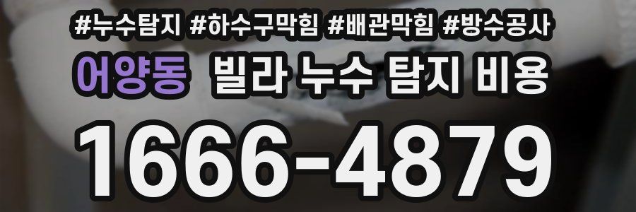 어양동 빌라 누수 탐지 비용