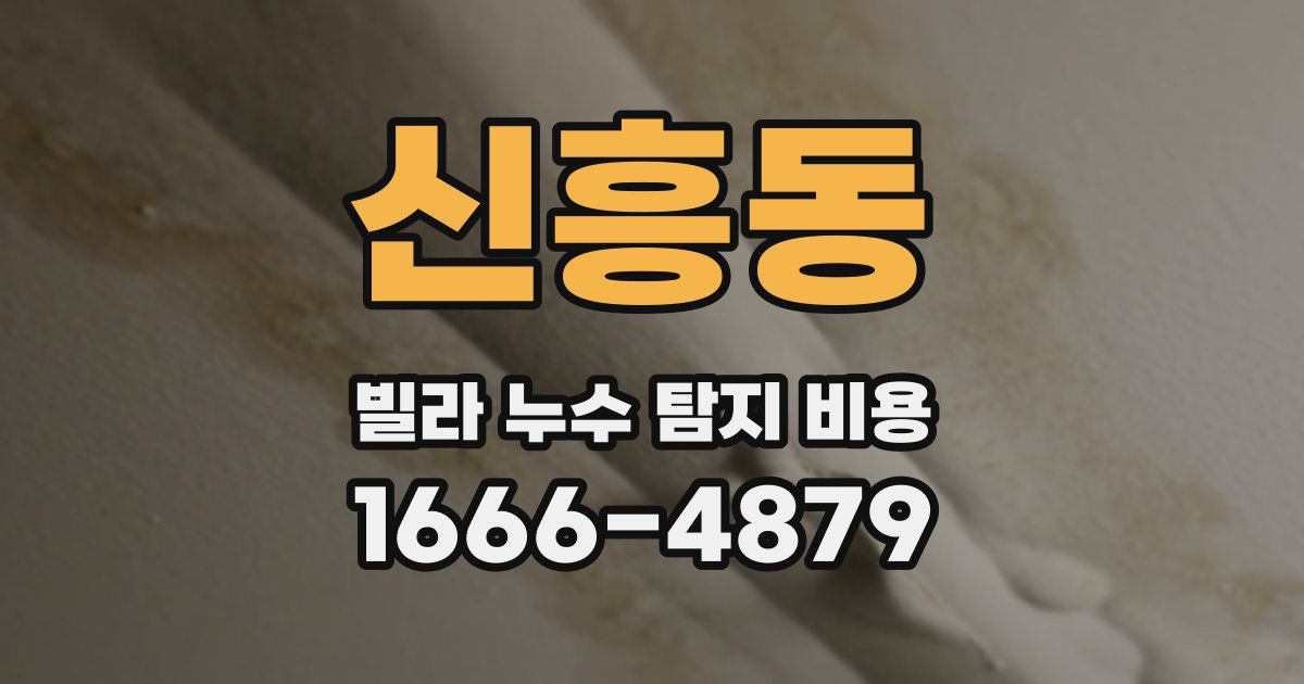 신흥동 빌라 누수 탐지 비용