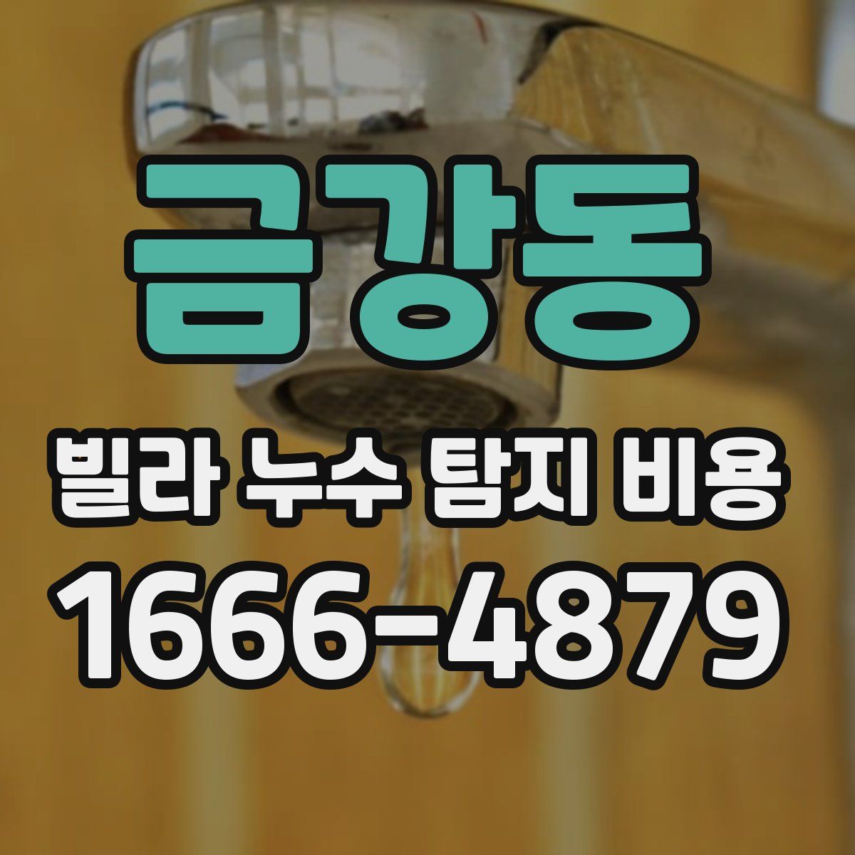 금강동 빌라 누수 탐지 비용
