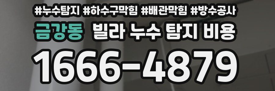 금강동 빌라 누수 탐지 비용