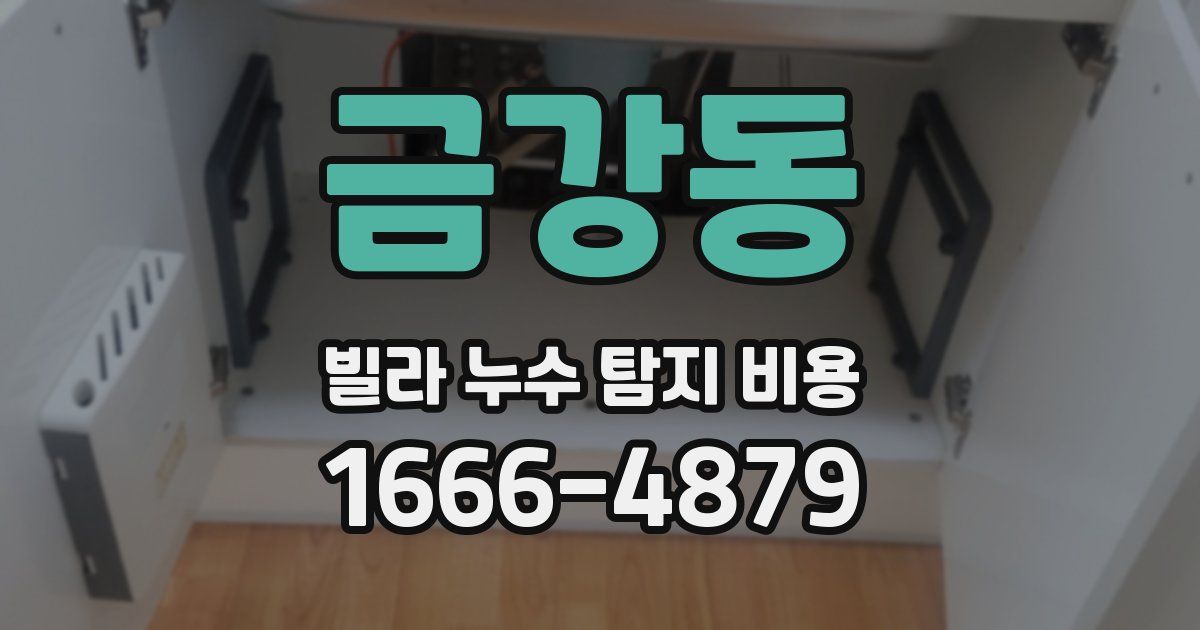 금강동 빌라 누수 탐지 비용