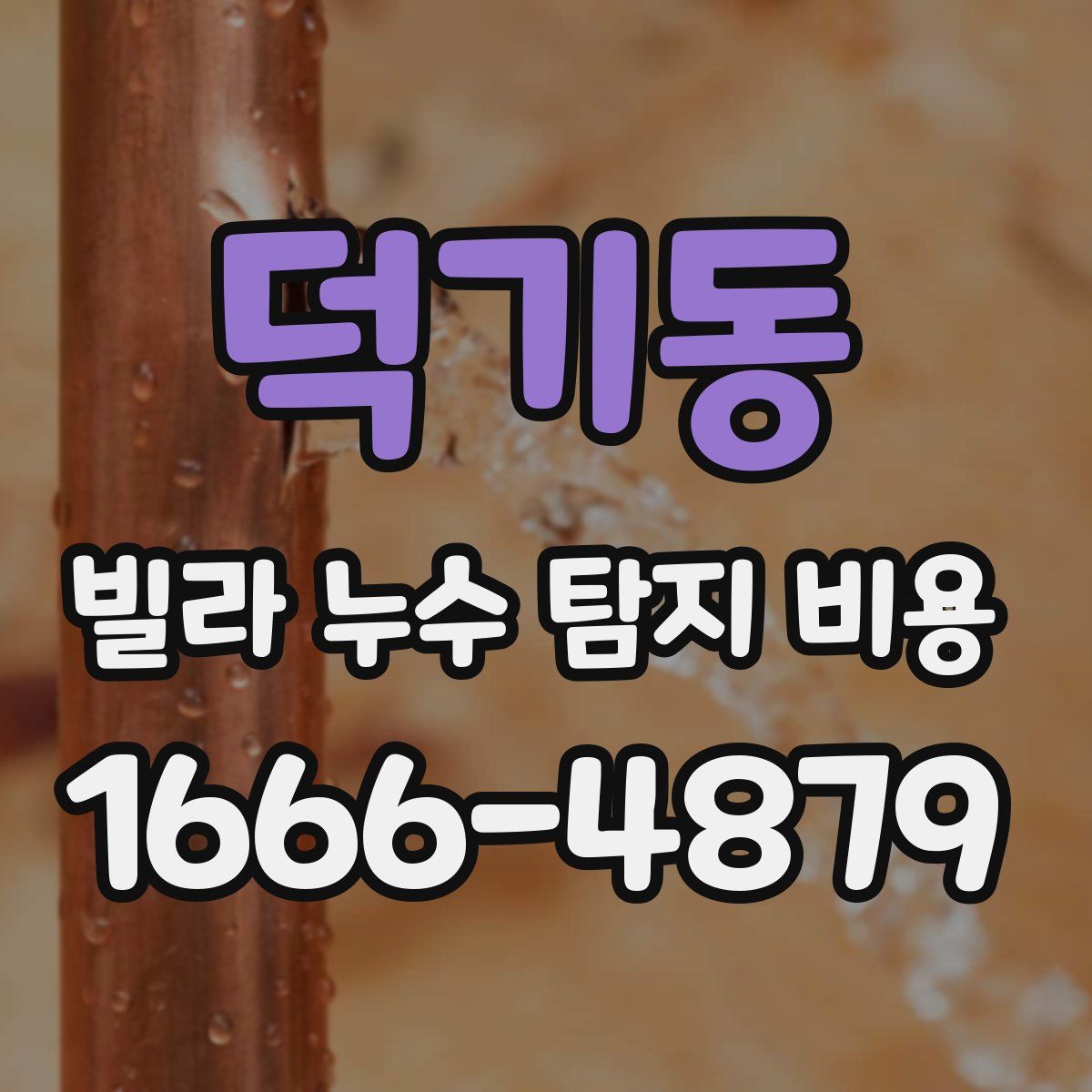 덕기동 빌라 누수 탐지 비용
