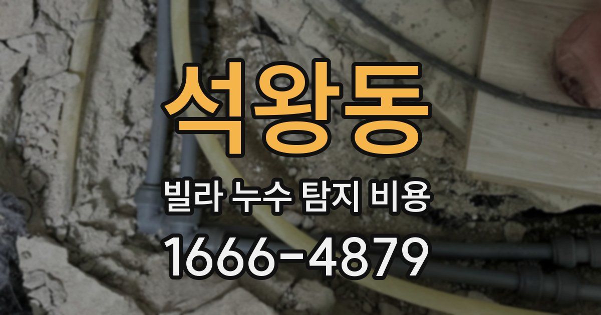 석왕동 빌라 누수 탐지 비용