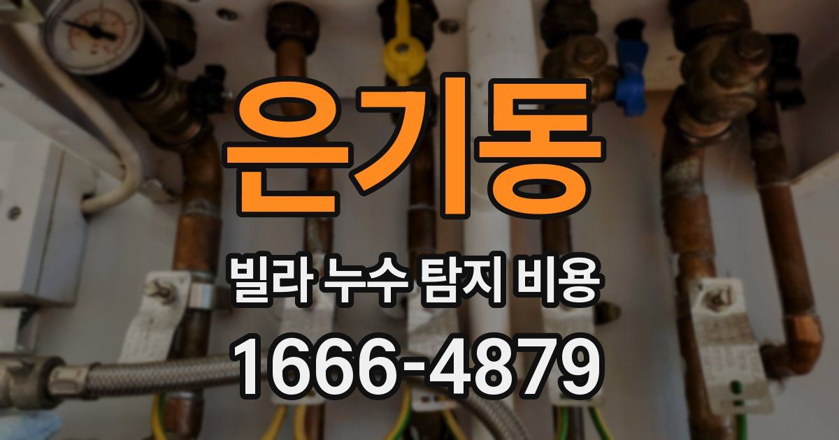 은기동 빌라 누수 탐지 비용