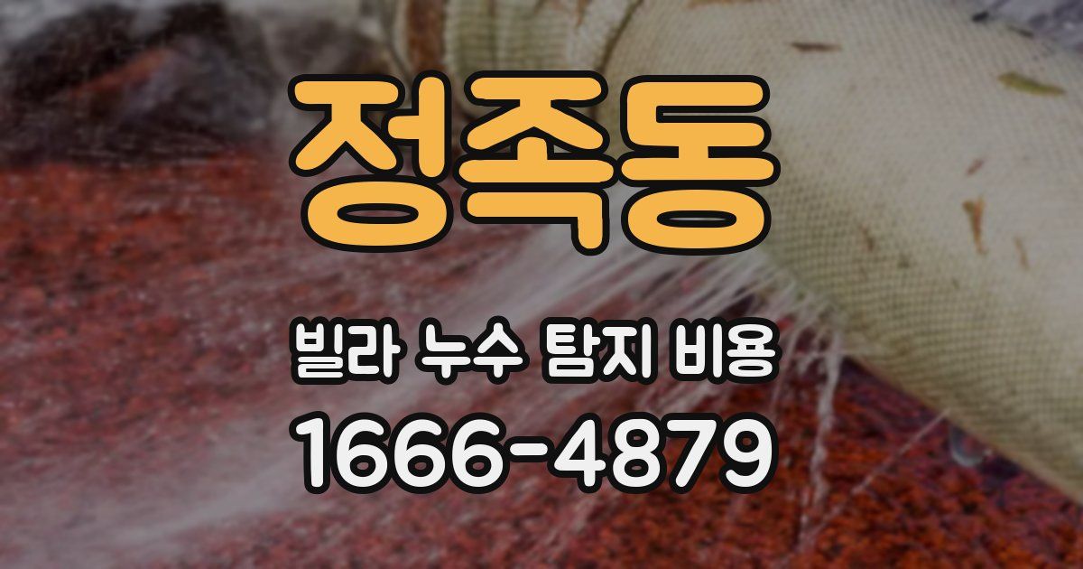 정족동 빌라 누수 탐지 비용