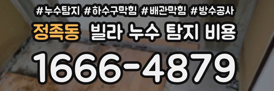 정족동 빌라 누수 탐지 비용
