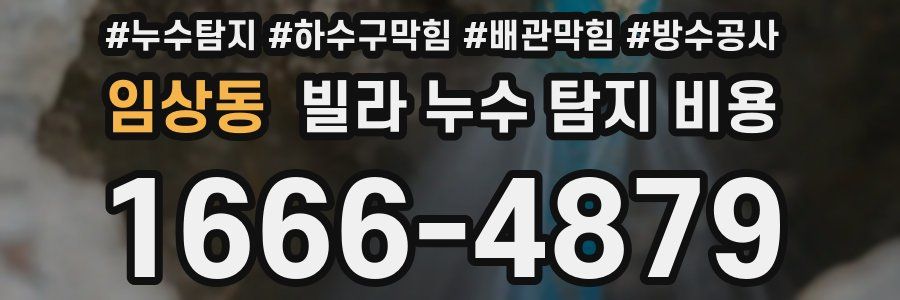 임상동 빌라 누수 탐지 비용