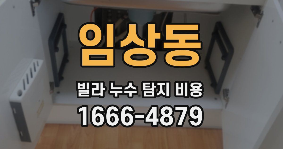 임상동 빌라 누수 탐지 비용