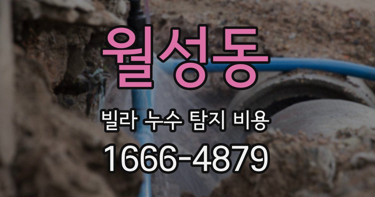 월성동 빌라 누수 탐지 비용