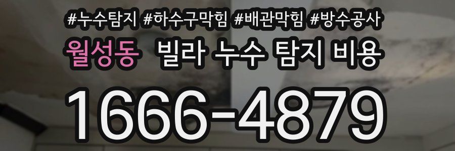 월성동 빌라 누수 탐지 비용