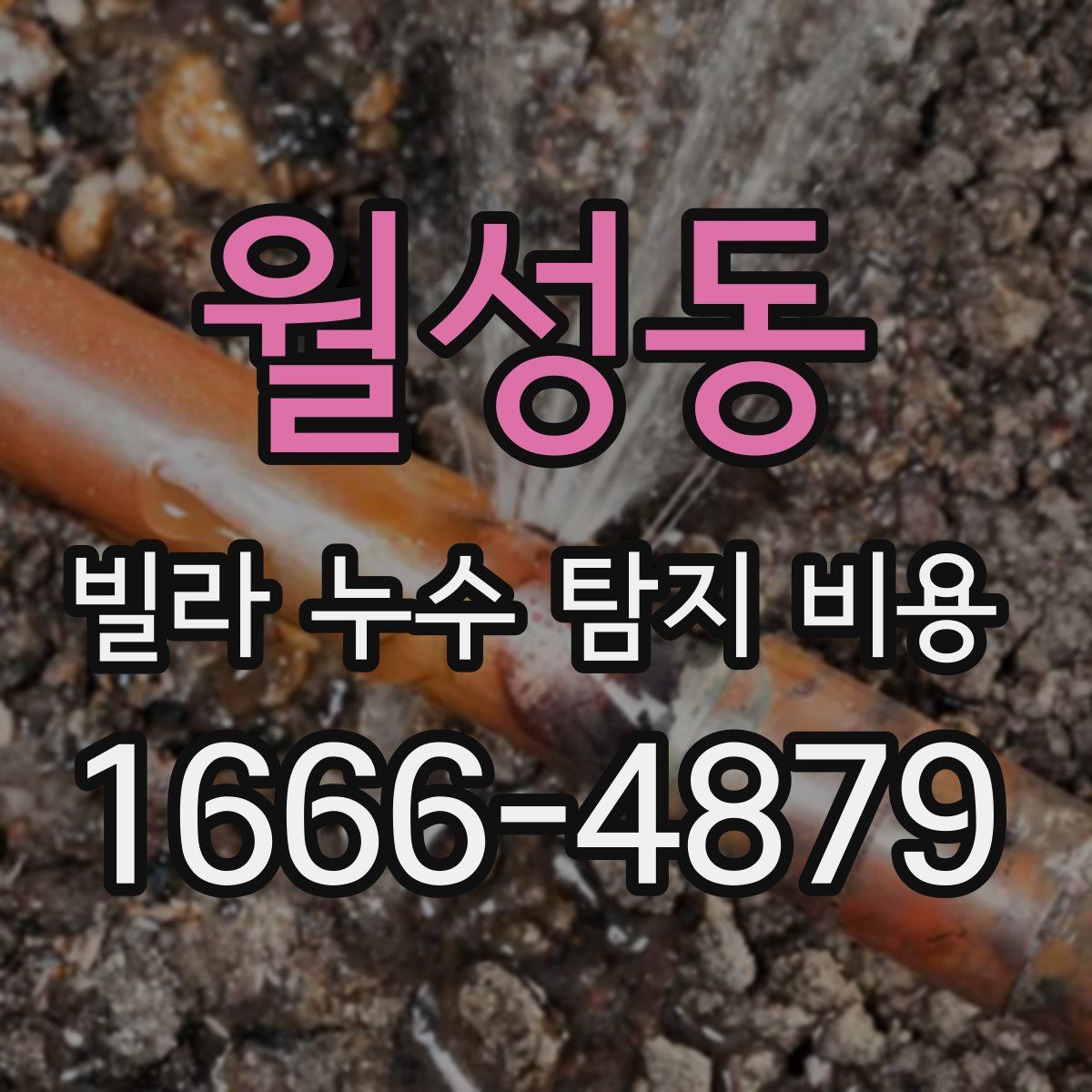 월성동 빌라 누수 탐지 비용
