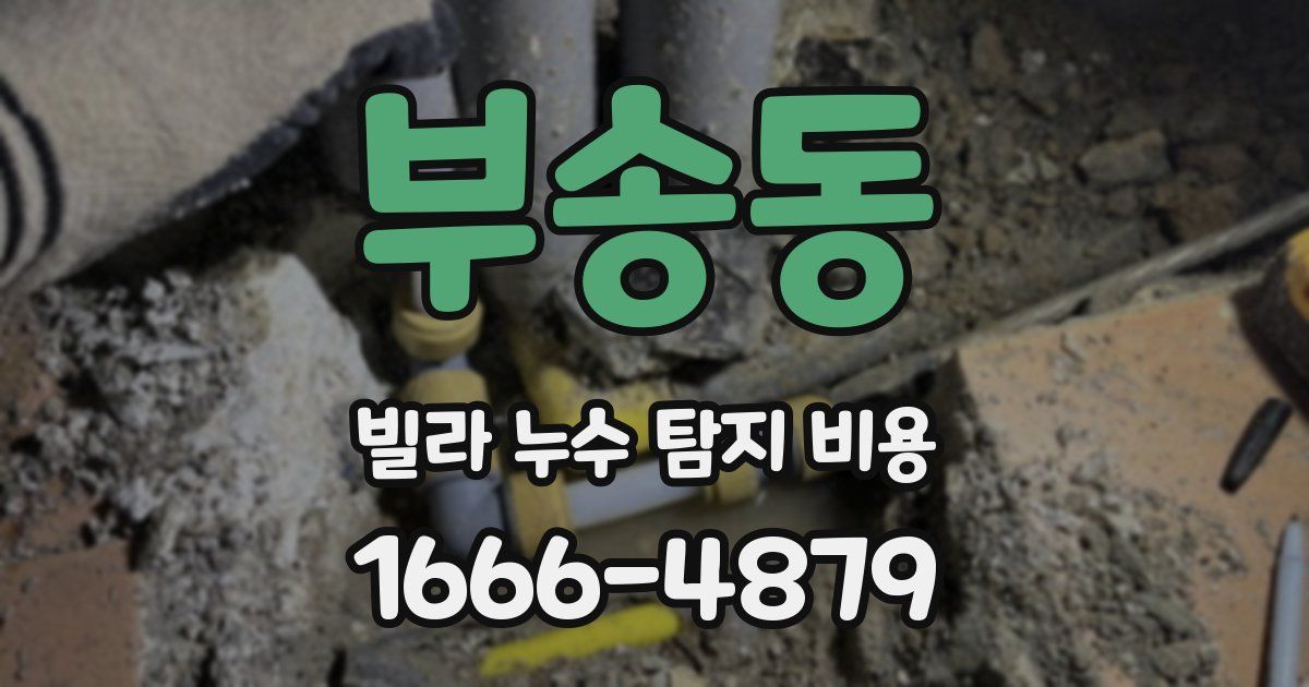 부송동 빌라 누수 탐지 비용