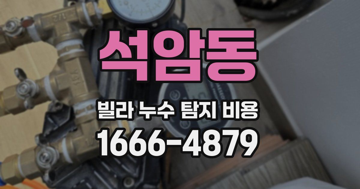 석암동 빌라 누수 탐지 비용