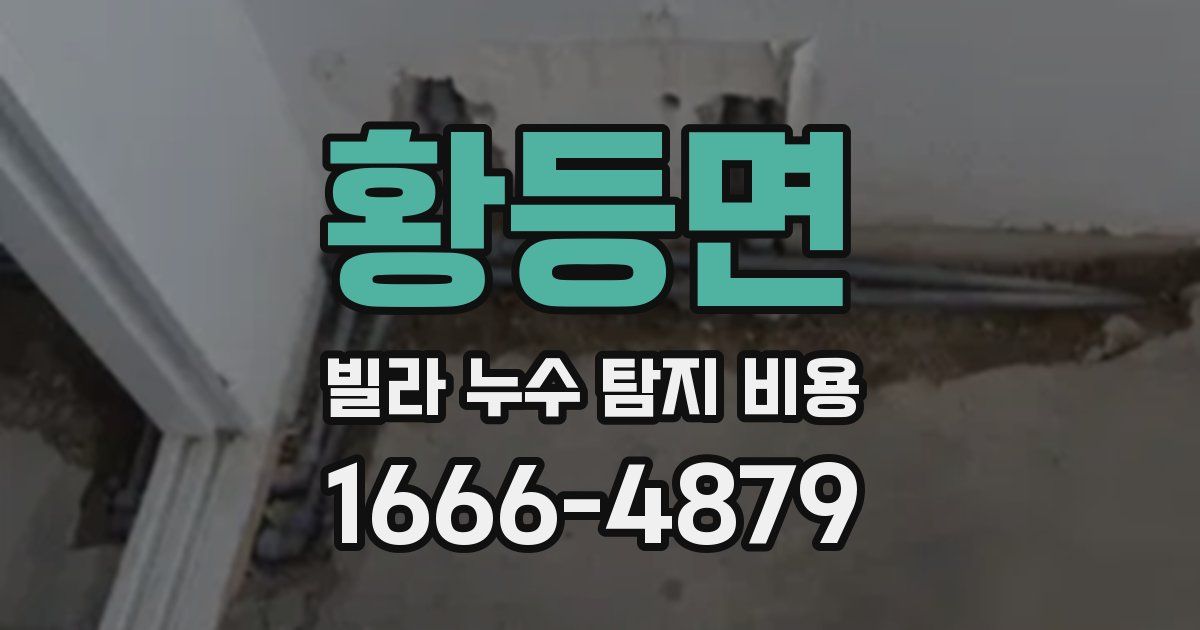 황등면 빌라 누수 탐지 비용