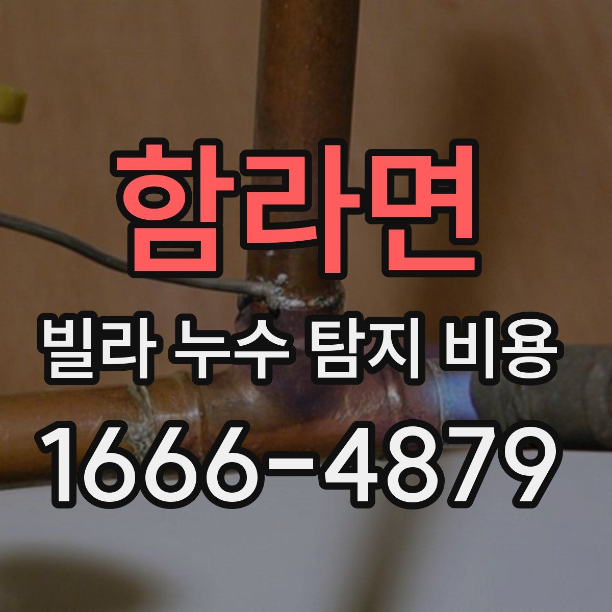 함라면 빌라 누수 탐지 비용