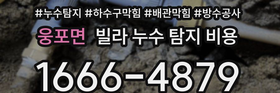 웅포면 빌라 누수 탐지 비용