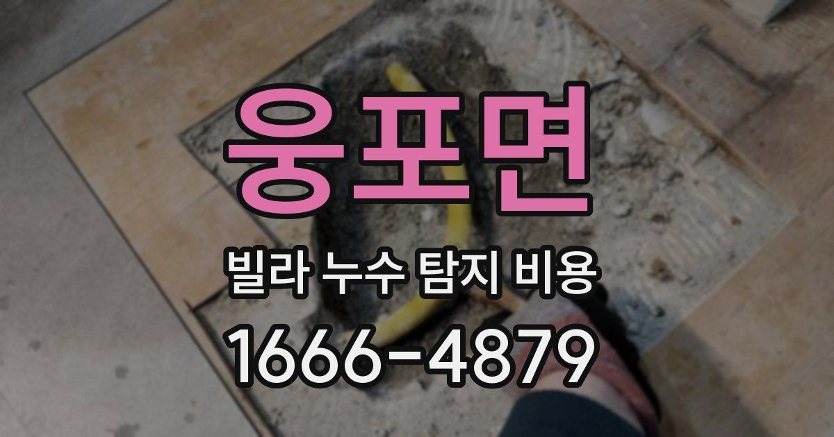 웅포면 빌라 누수 탐지 비용