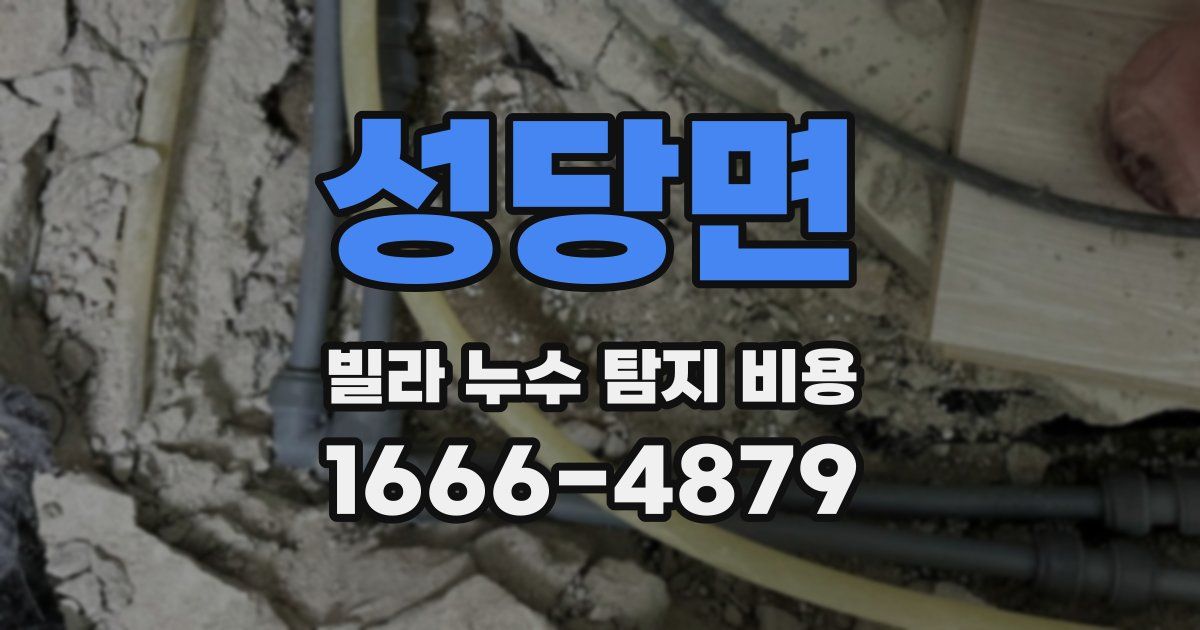 성당면 빌라 누수 탐지 비용