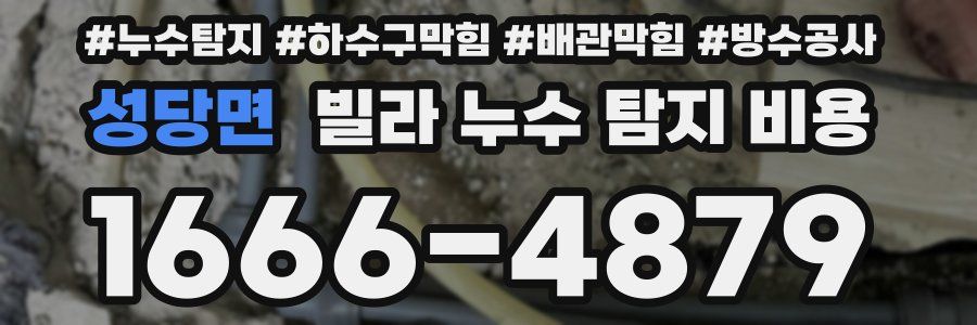 성당면 빌라 누수 탐지 비용