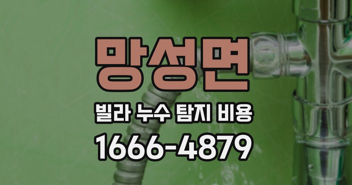 망성면 빌라 누수 탐지 비용