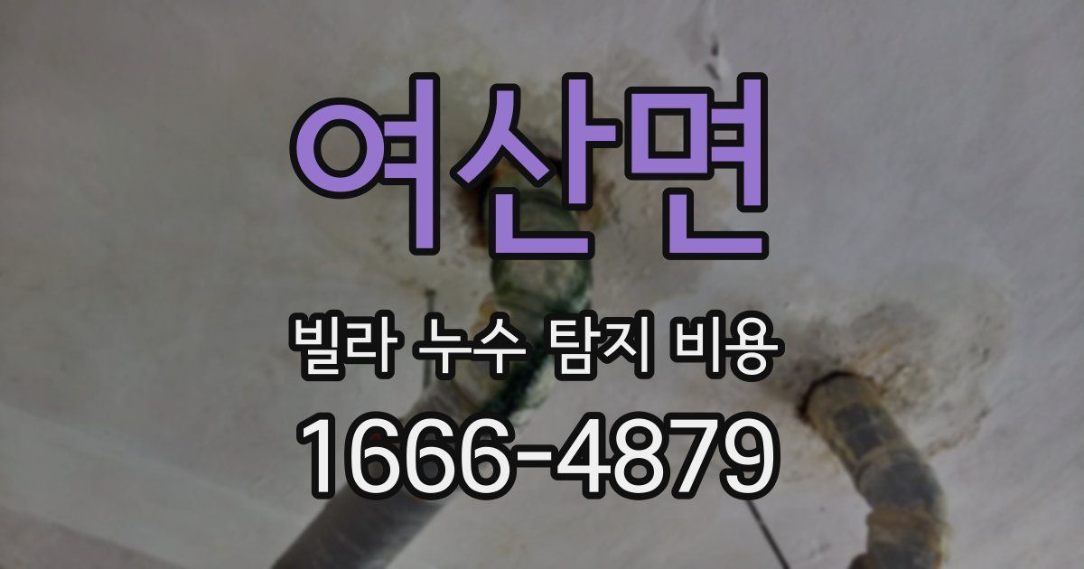 여산면 빌라 누수 탐지 비용