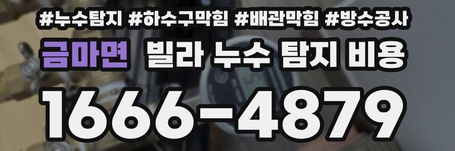 금마면 빌라 누수 탐지 비용