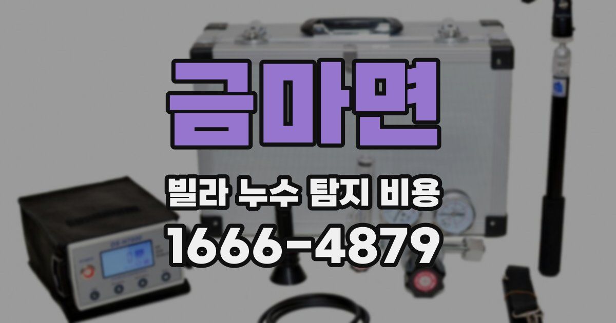금마면 빌라 누수 탐지 비용