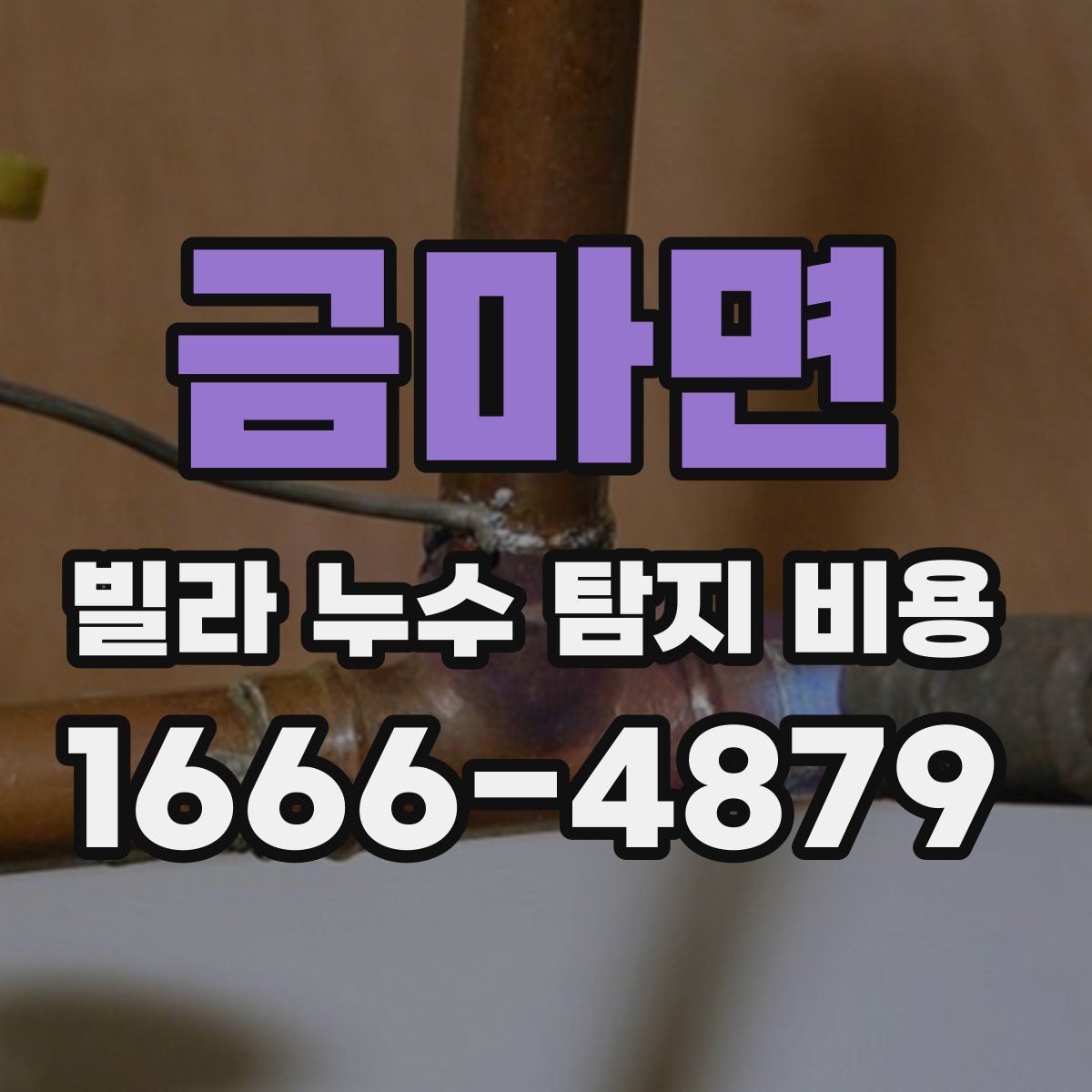 금마면 빌라 누수 탐지 비용
