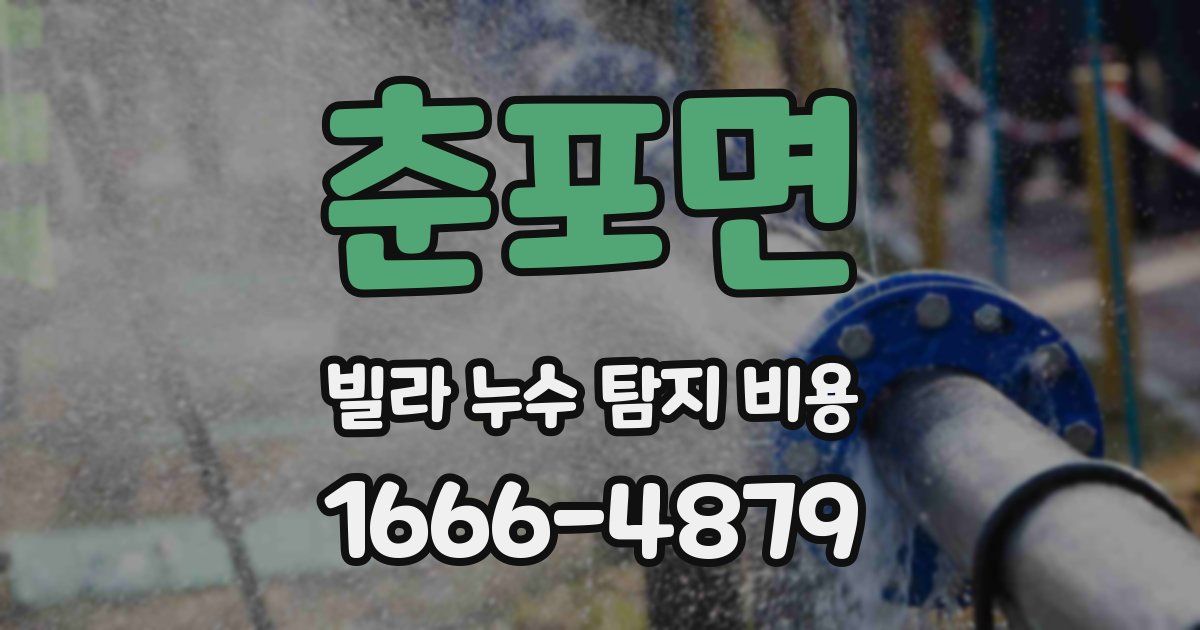 춘포면 빌라 누수 탐지 비용
